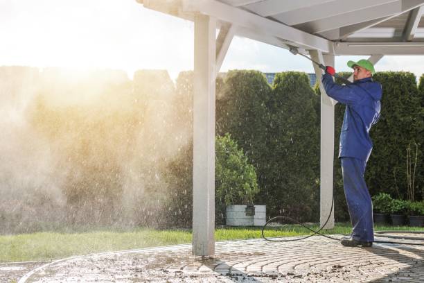 Best Concrete Sealing  in Earlvle, IL